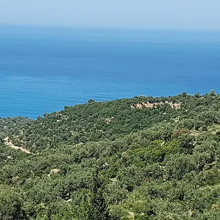 Riza Veliu * Piqeras